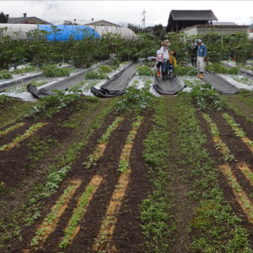 体験農園第10回開催