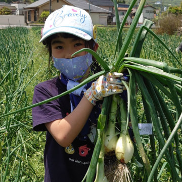 体験農園第41回開催