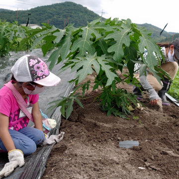 体験農園第45回開催