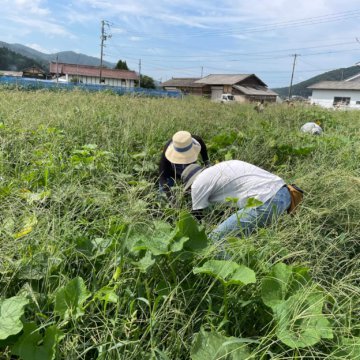 体験農園第68回開催