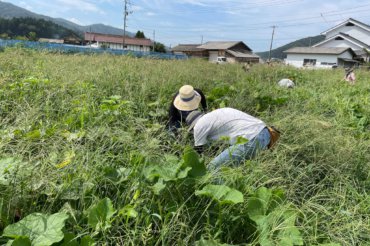 体験農園第68回開催