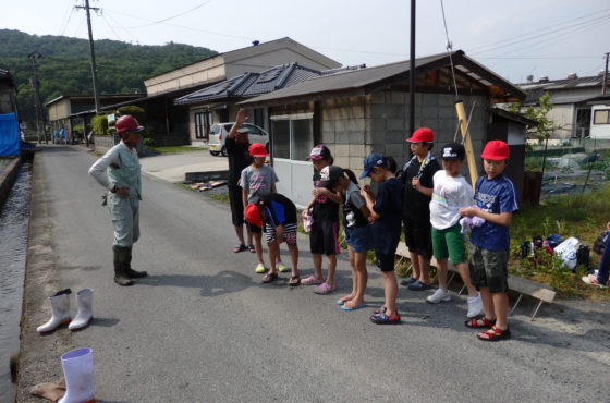 田植え体験。