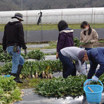 体験農園第37回開催