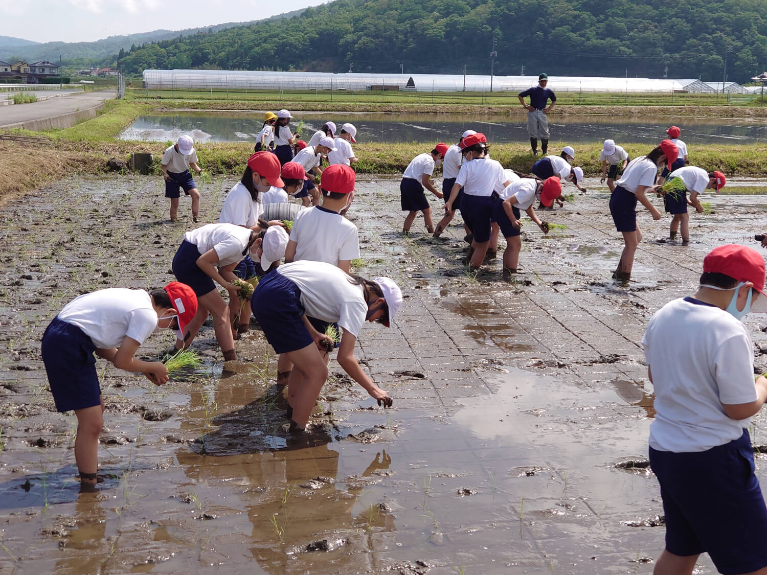 田植え体験-2