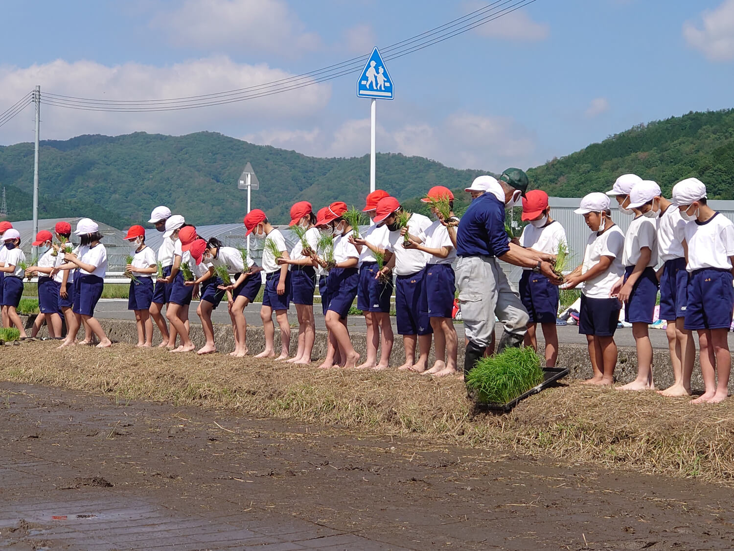 田植え体験-1